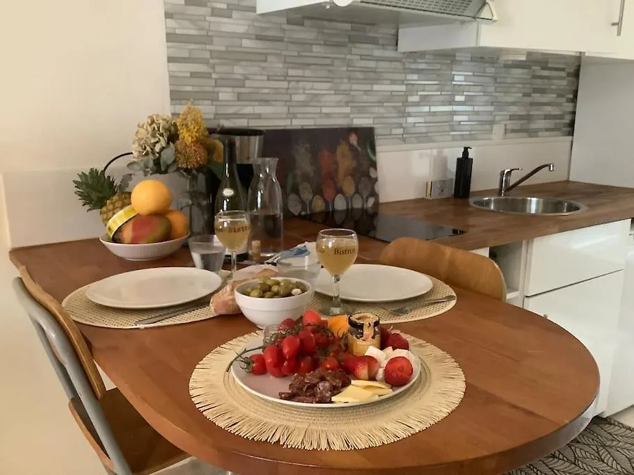 אביניון Charming Studio Apartment צרפת